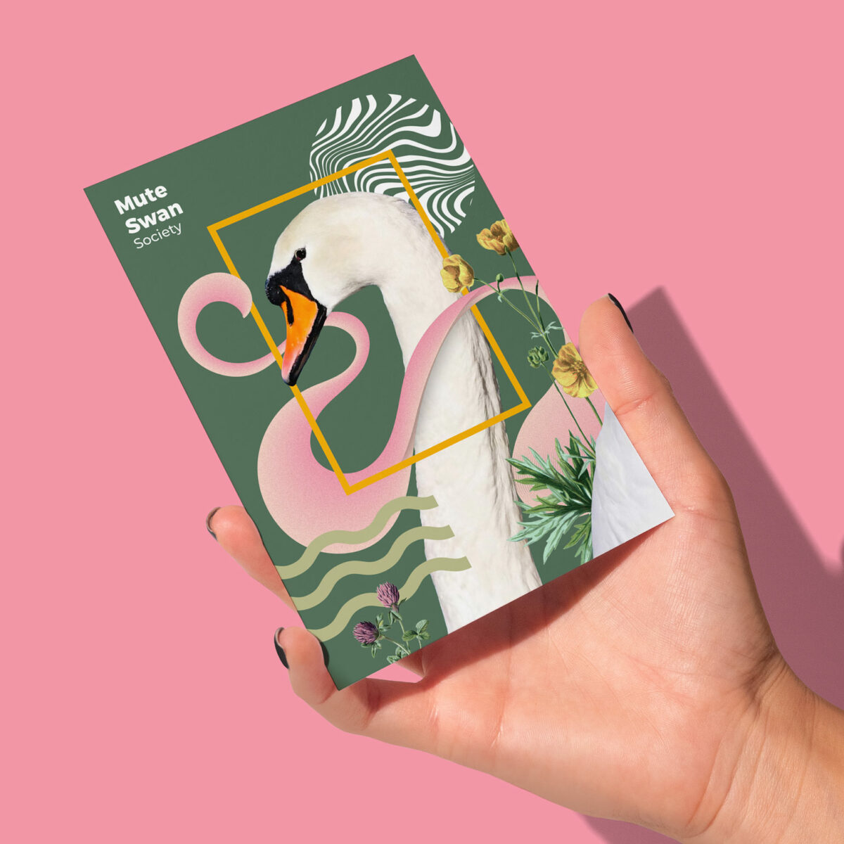 A hand holding the swan postcard against a pink background.